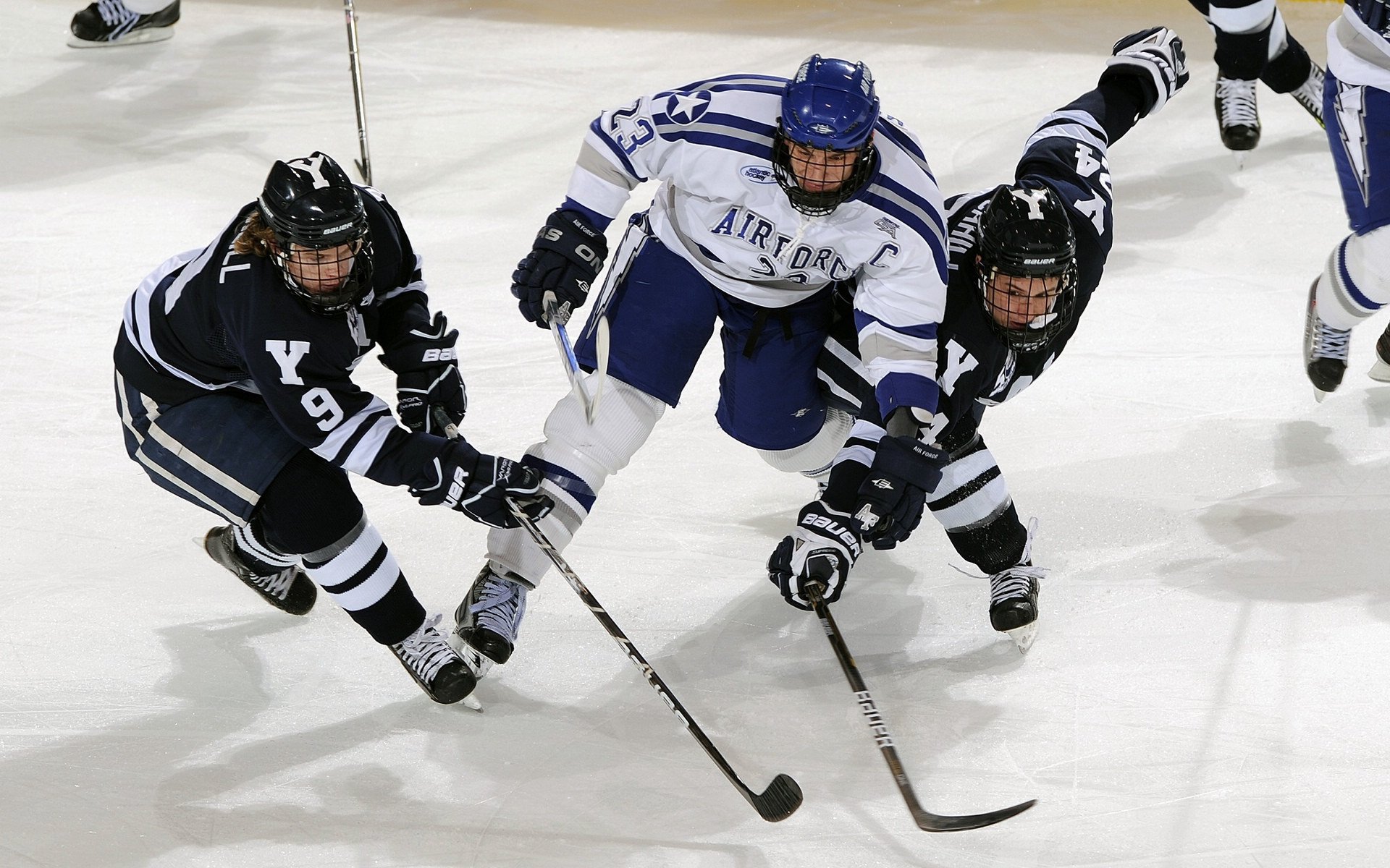 冠军队伍:他们是如何登顶的?,冠军是怎么练出来的